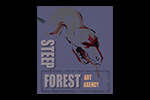 27. Steepforest (150x100)